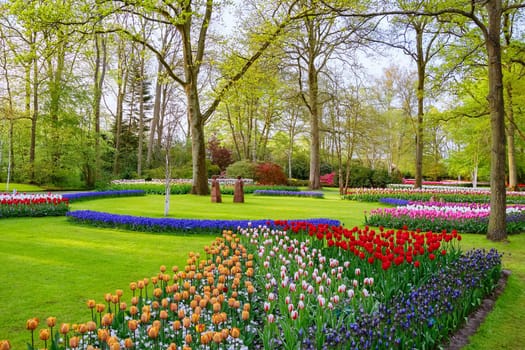 Spring in the park. Lisse, the Netherlands.