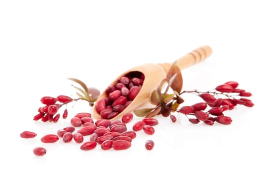 Wooden spoon with ripe red berries of barberry and branch of berberry isolated on white background