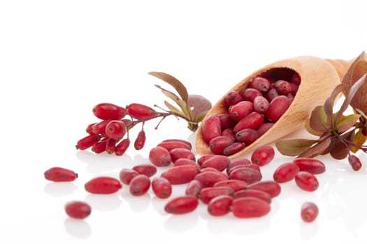 Wooden spoon with ripe red berries of barberry and branch of berberry isolated on white background