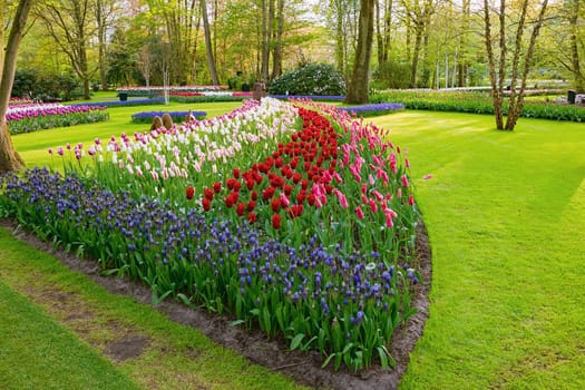 Spring in the park. Lisse, the Netherlands.