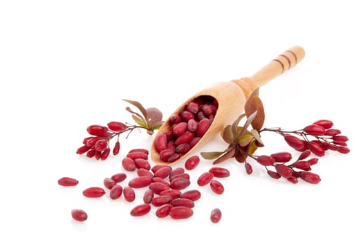 Wooden spoon with ripe red berries of barberry and branch of berberry isolated on white background