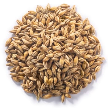 Pile of unhulled Barley (Hordeum vulgare seeds), isolated, top view