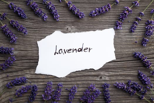 Lavender flowers on a wooden background. Floral border or frame with lavender.