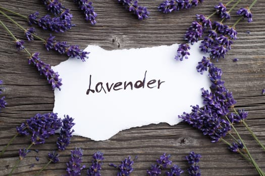 Lavender flowers on a wooden background. Floral border or frame with lavender.