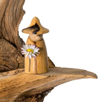 Turned wood gnome with a daisy in hand stands on an old tree stump isolated on white