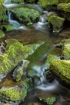 Flowing stream and mossy stones