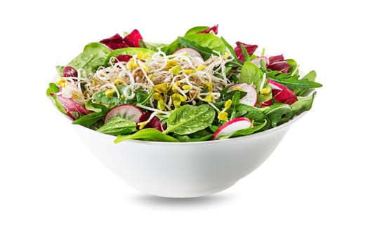 Healthy green salad meal with alfalfa sprouts isolated on white background
