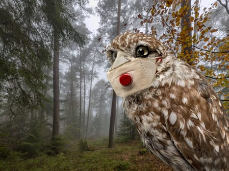 Portrait of an owl with a mouthguard against infection in front of a foggy forest