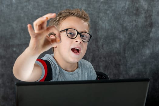 little school boy with a laptop showing OK gesture