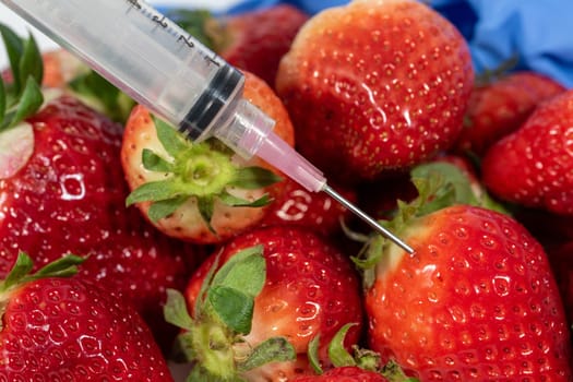 a genetic modification of fruits and vegetables.