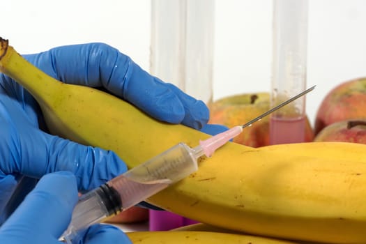 close up of woman with gloves uses a syringe. Genetic modification of fruits and vegetables.