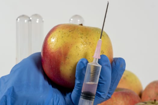 close up of woman with gloves uses a syringe. Genetic modification of fruits and vegetables.