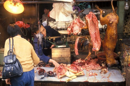 Dog meat at the meat and animal Market in the city of Guangzhou in the province of Guangdong in china in east asia.   China, Guangzhou, April, 2000