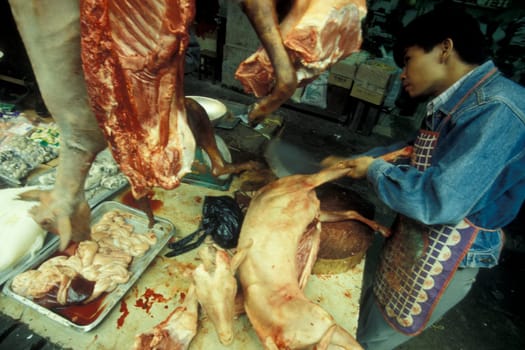 fresh meat at the meat and animal Market in the city of Guangzhou in the province of Guangdong in china in east asia.   China, Guangzhou, April, 2000