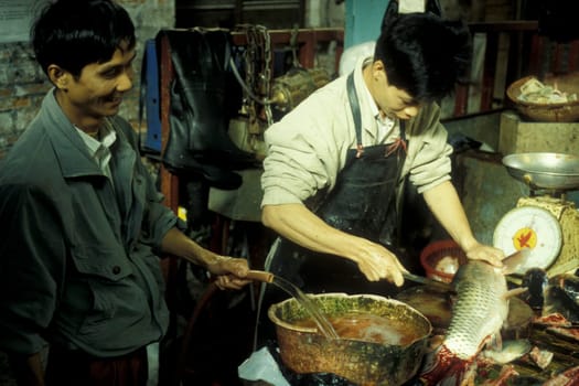 fresh fish at the seafood and animal Market in the city of Guangzhou in the province of Guangdong in china in east asia.   China, Guangzhou, April, 2000
