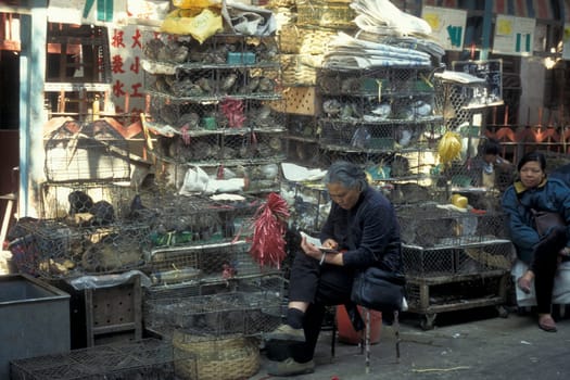 the meat and animal Market in the city of Guangzhou in the province of Guangdong in china in east asia.   China, Guangzhou, April, 2000