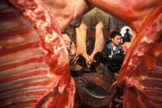 fresh meat at the meat and animal Market in the city of Guangzhou in the province of Guangdong in china in east asia.   China, Guangzhou, April, 2000