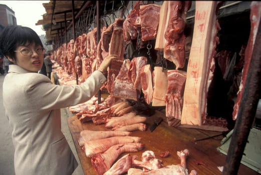 fresh meat at the meat and animal Market in the city of Guangzhou in the province of Guangdong in china in east asia.   China, Guangzhou, April, 2000