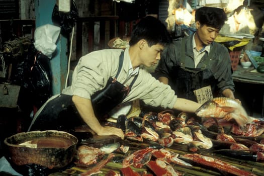 fresh fish at the seafood and animal Market in the city of Guangzhou in the province of Guangdong in china in east asia.   China, Guangzhou, April, 2000
