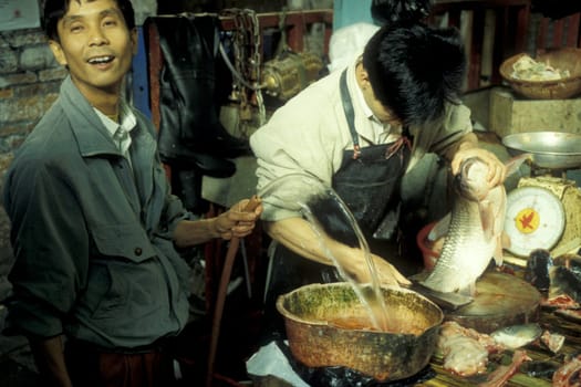 fresh fish at the seafood and animal Market in the city of Guangzhou in the province of Guangdong in china in east asia.   China, Guangzhou, April, 2000