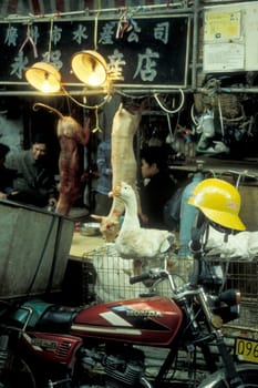 fresh meat at the meat and animal Market in the city of Guangzhou in the province of Guangdong in china in east asia.   China, Guangzhou, April, 2000