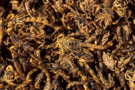 scorpions and chinese madicine in the old town in the city of Xian in the province of Shaanxi in china in east asia.   China, Xian, April, 2000