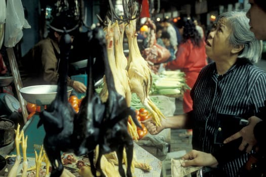 fresh meat at the meat and animal Market in the city of Guangzhou in the province of Guangdong in china in east asia.   China, Guangzhou, April, 2000