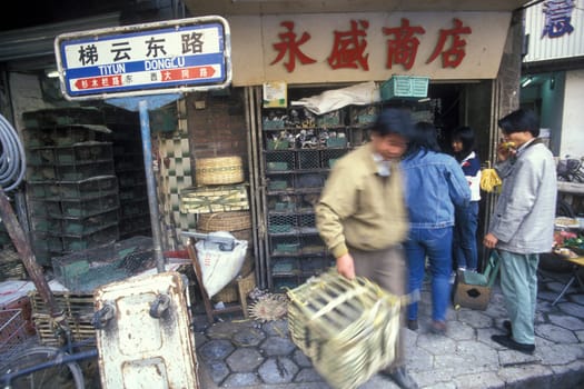 the meat and animal Market in the city of Guangzhou in the province of Guangdong in china in east asia.   China, Guangzhou, April, 2000