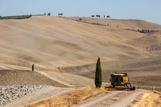 The rural landscape of the  Tuscany. Italy