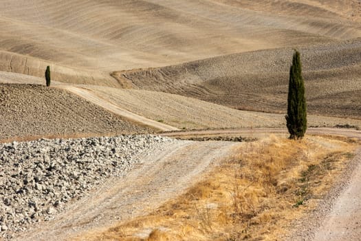 The rural landscape of the  Tuscany. Italy