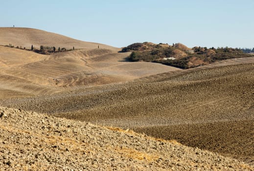 The rural landscape of the  Tuscany. Italy