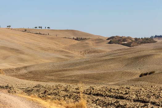 The rural landscape of the  Tuscany. Italy