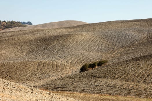 The rural landscape of the  Tuscany. Italy