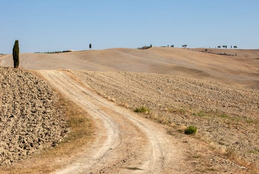 The rural landscape of the  Tuscany. Italy