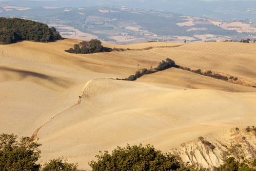 The rural landscape of the  Tuscany. Italy
