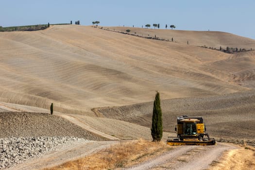 The rural landscape of the  Tuscany. Italy