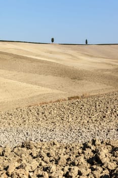 The rural landscape of the  Tuscany. Italy