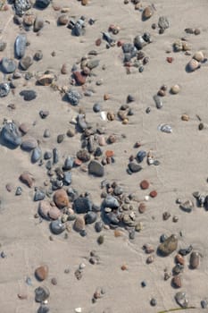Sandy bottom on the seashore with pebbles and shells as a background