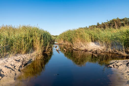Drainage canal on the Baltic Sea coast near Darss in Germany with reeds, grass and blue sky