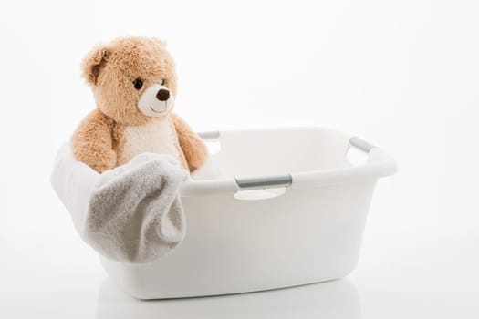 Teddy in a laundry basket