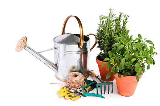 Gardening tools and spices plants isolated on white