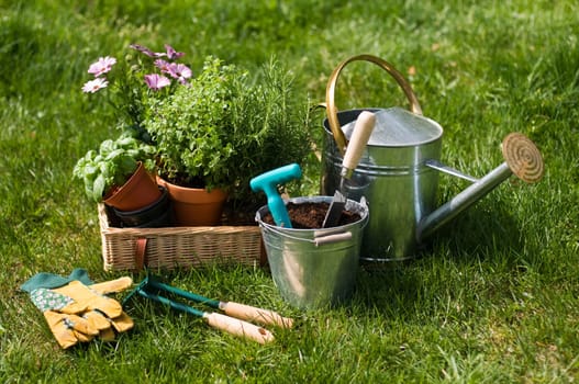 Gardening tools and plants in the garden background. Gardening - Set Of Tools For Gardener And Flowerpots