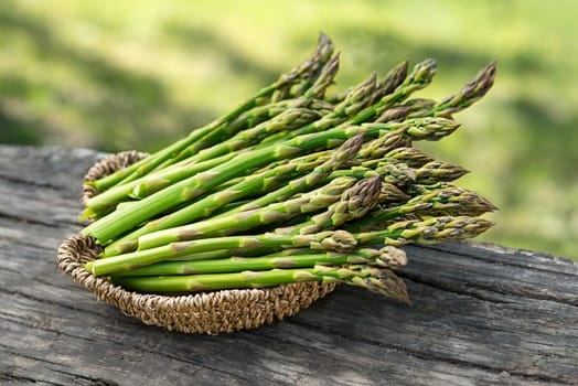 Asparagus. Fresh Asparagus. Pickled Green Asparagus. Bunches of green asparagus in basket, top view- Image