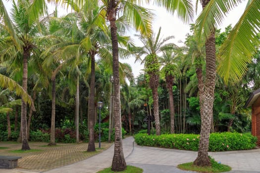 The promenade and park area in cloudy weather Shenzhen, China, Asia