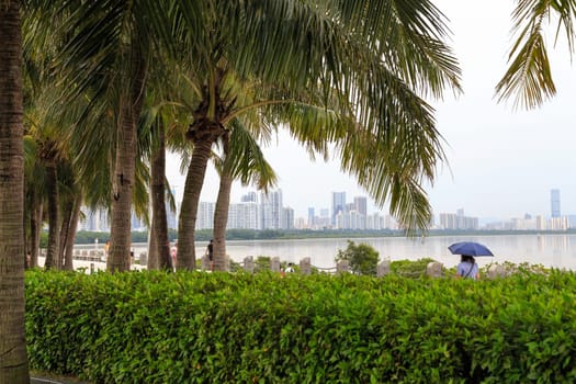 The promenade and park area in cloudy weather Shenzhen, China, Asia