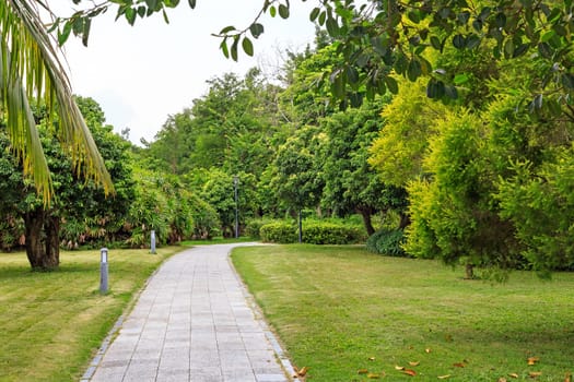 Stone walkway in the park in cloudy weather, Shenzhen, China, Asia