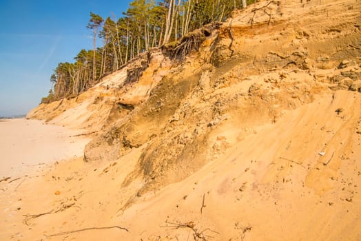 beach of the Baltic Sea in Orzechowo, Poland, dunes with trees and erosion