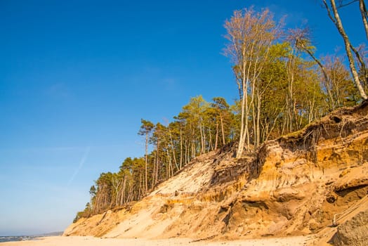 beach of the Baltic Sea in Orzechowo, Poland, dunes with trees and erosion