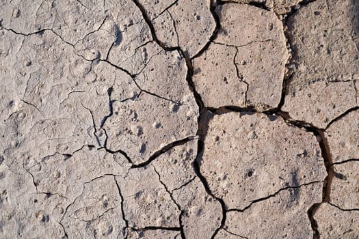 parched ground of a field in summer during a dry period