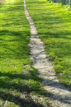 landscape - a little way with a fence